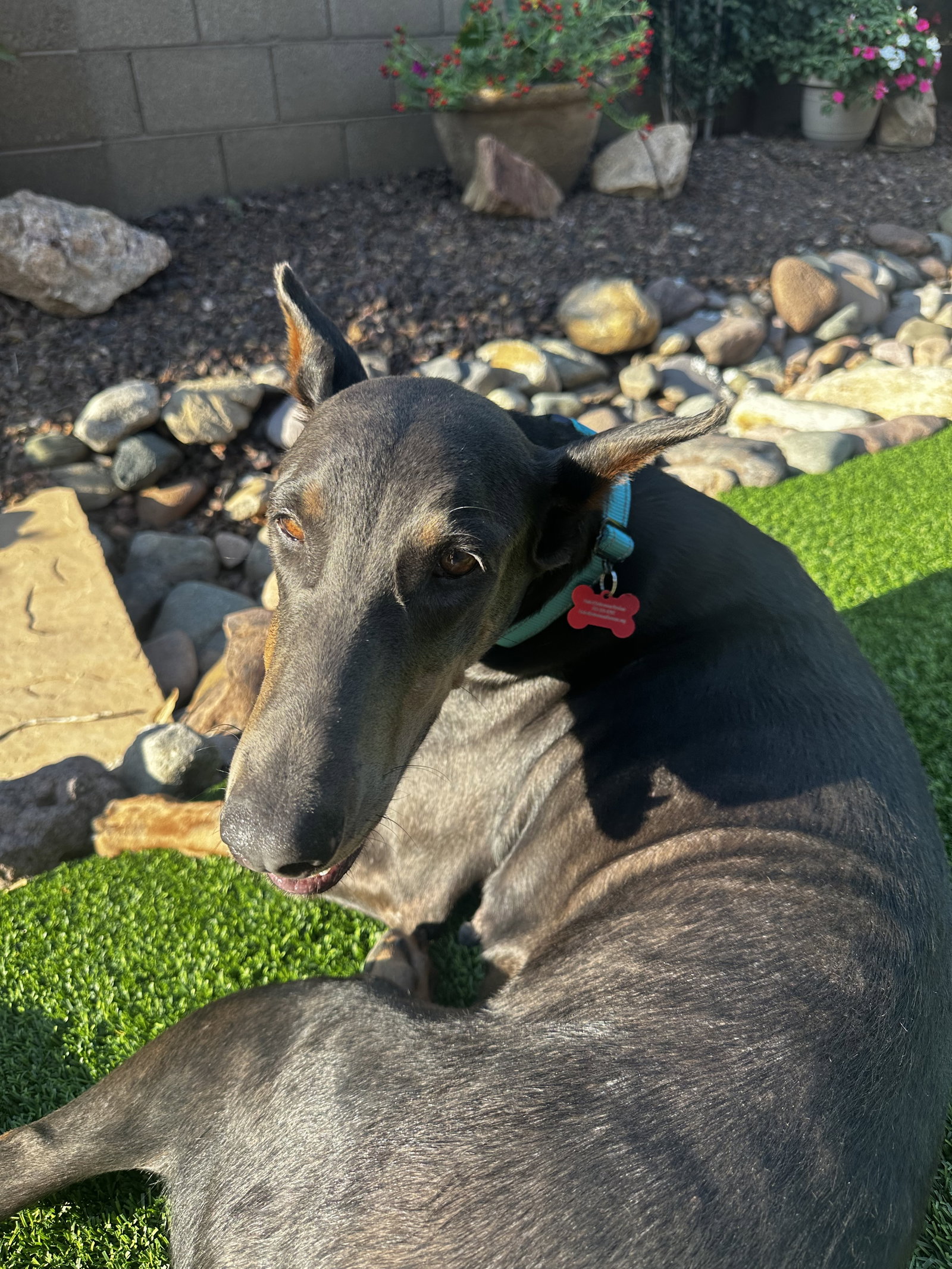 Diamond, photo 16