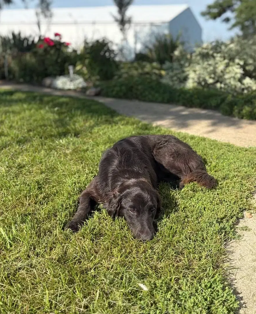 Bella image 3