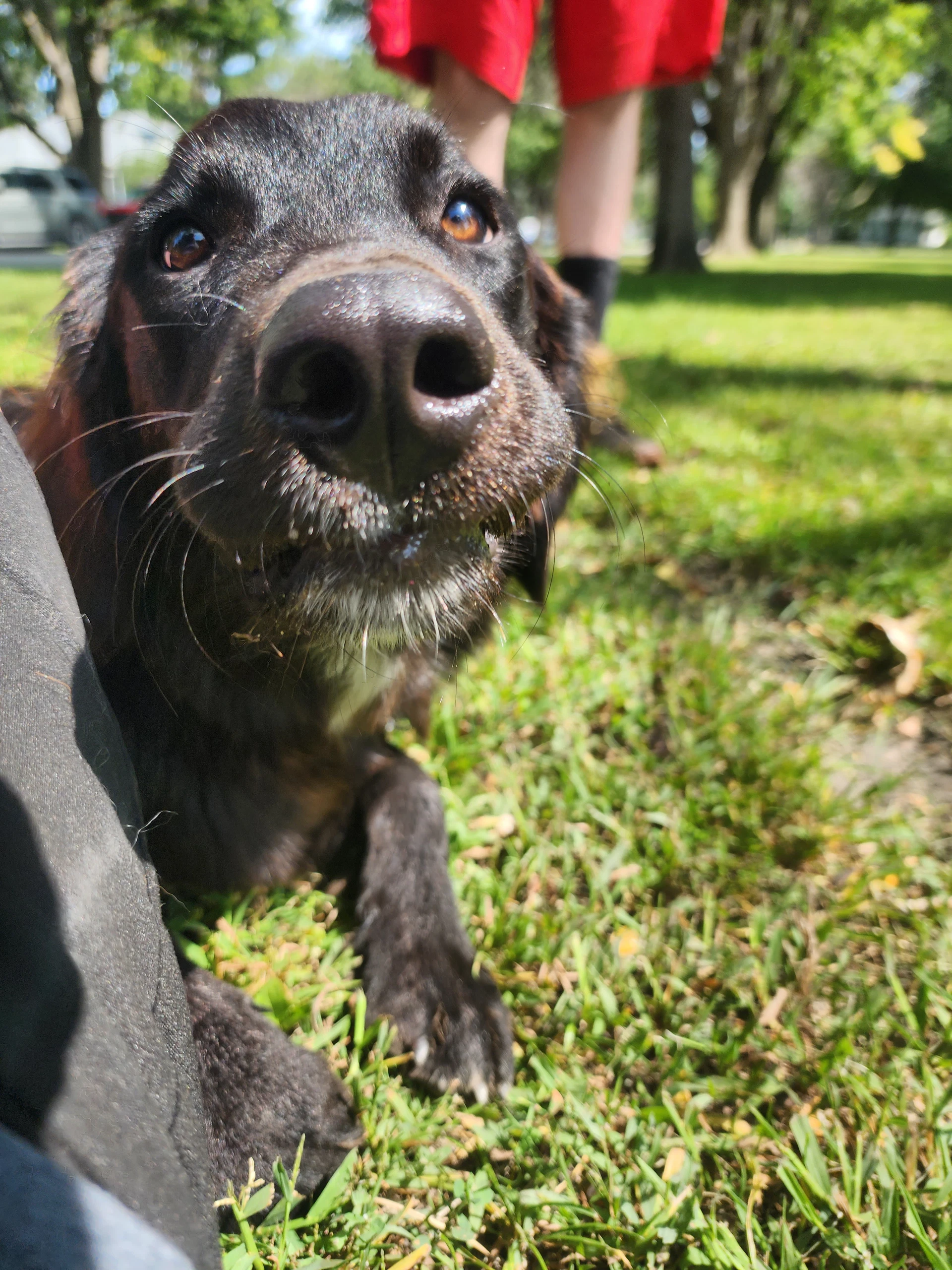 Bella