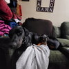 Penny