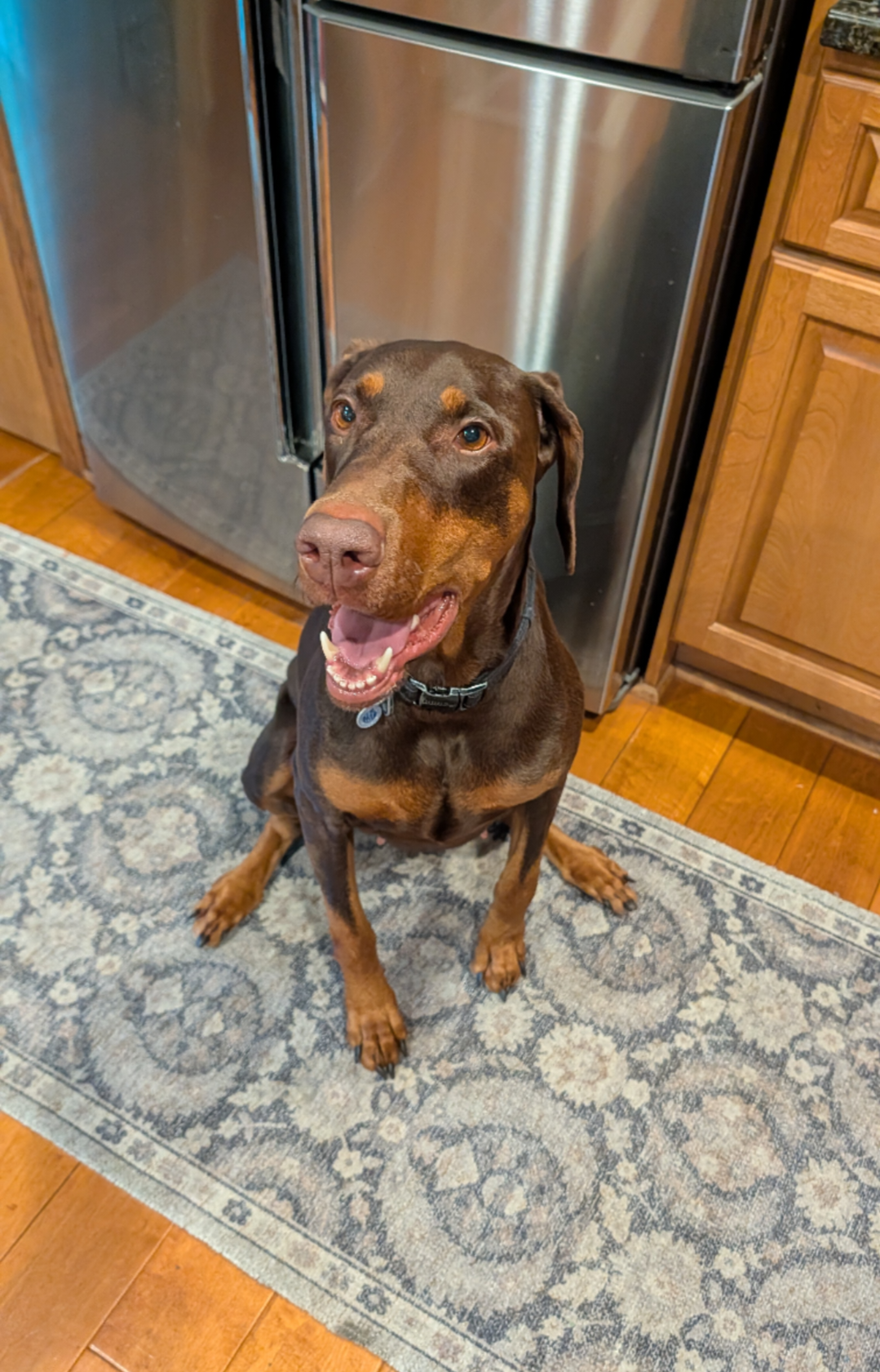Brandy, photo 12
