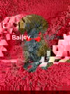 adoptable Dog in  named Bailey