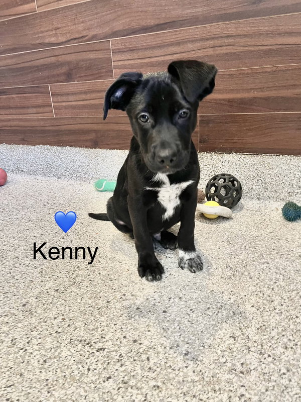Dar’s Kenny