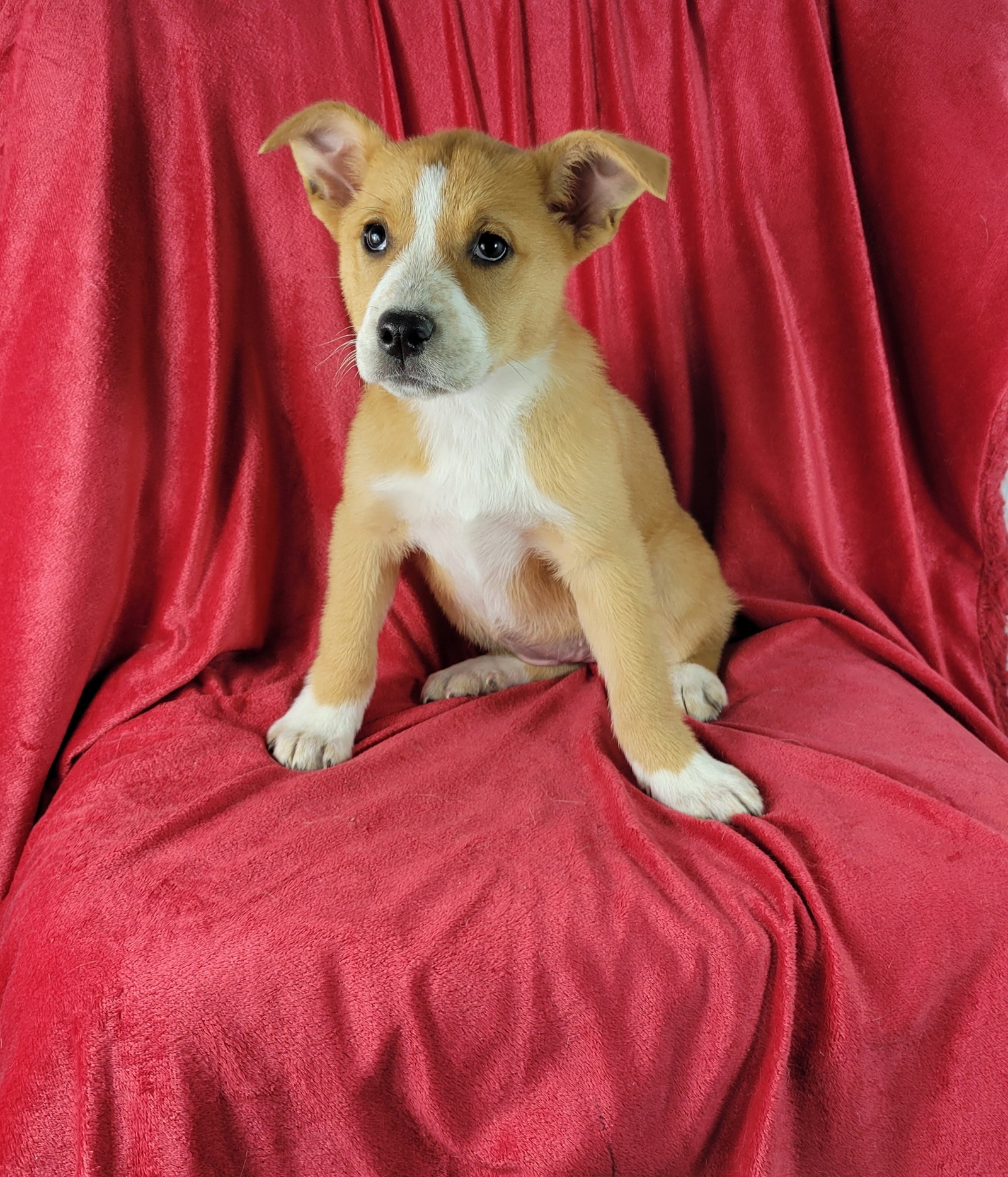 Emma Image