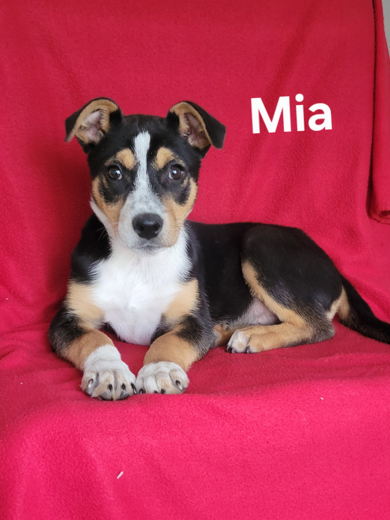 Mia Image