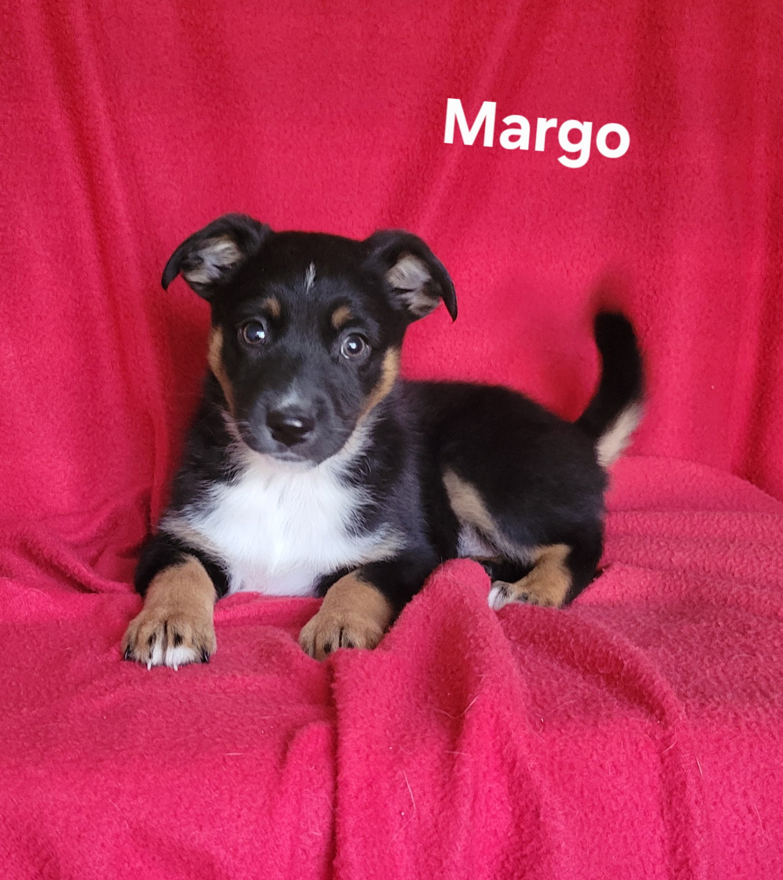 Margo Image