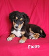 Fiona - Photo 1