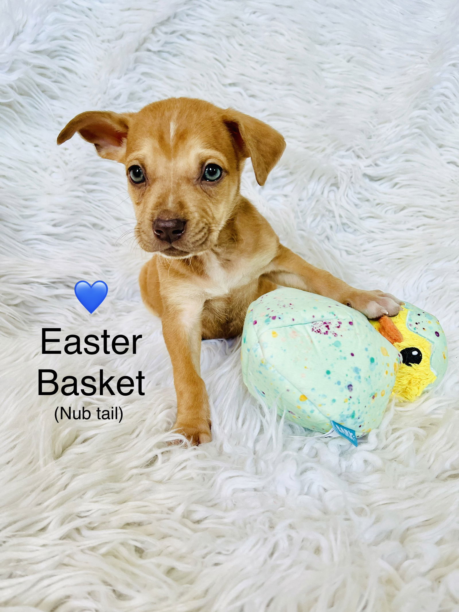 Easter Basket