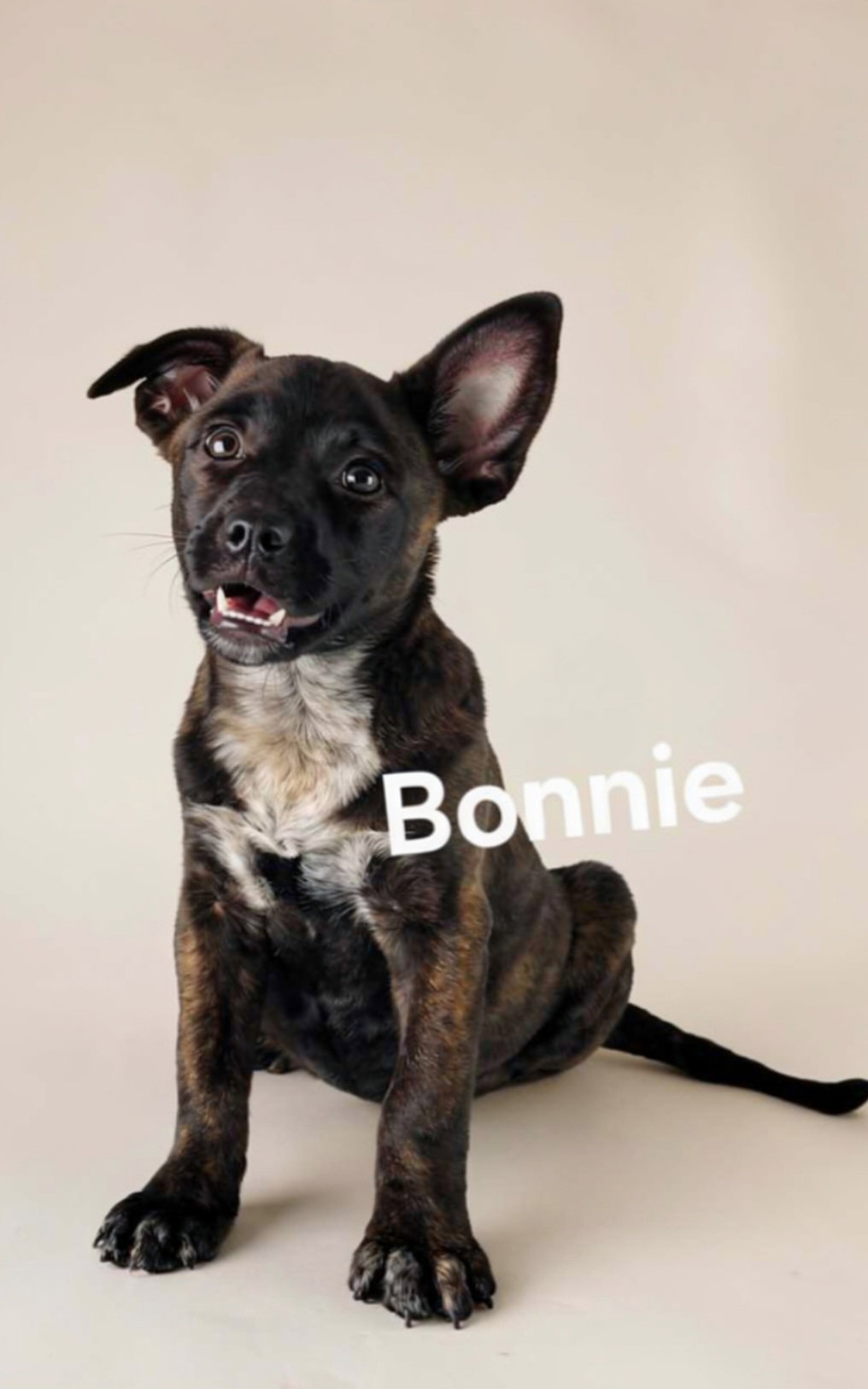 Bonnie