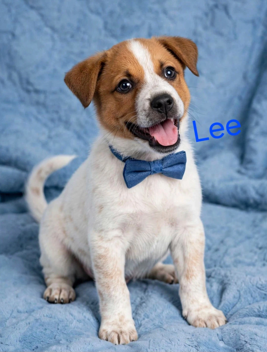 Lee