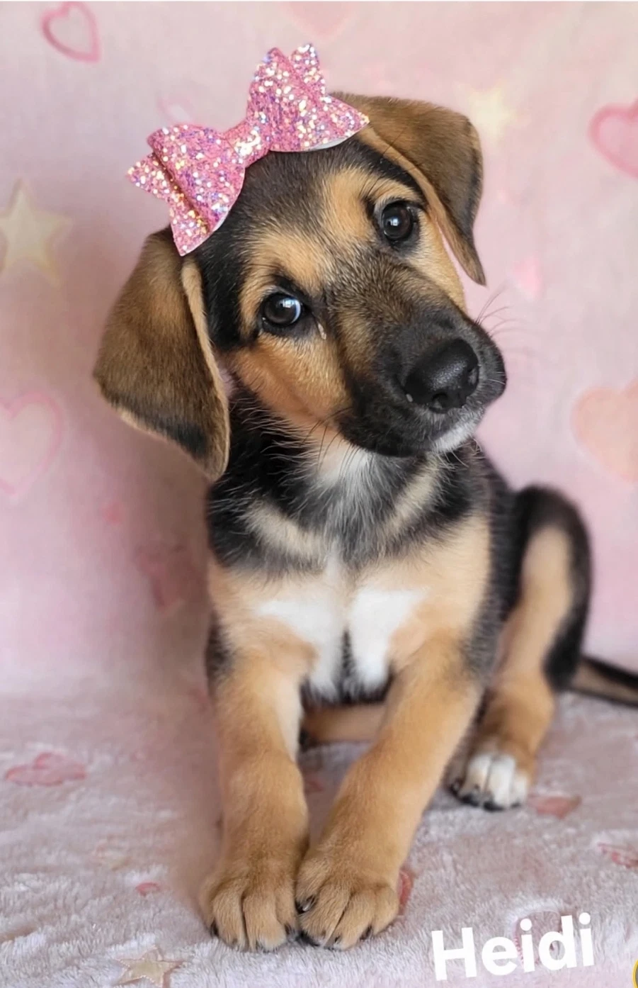 Heidi