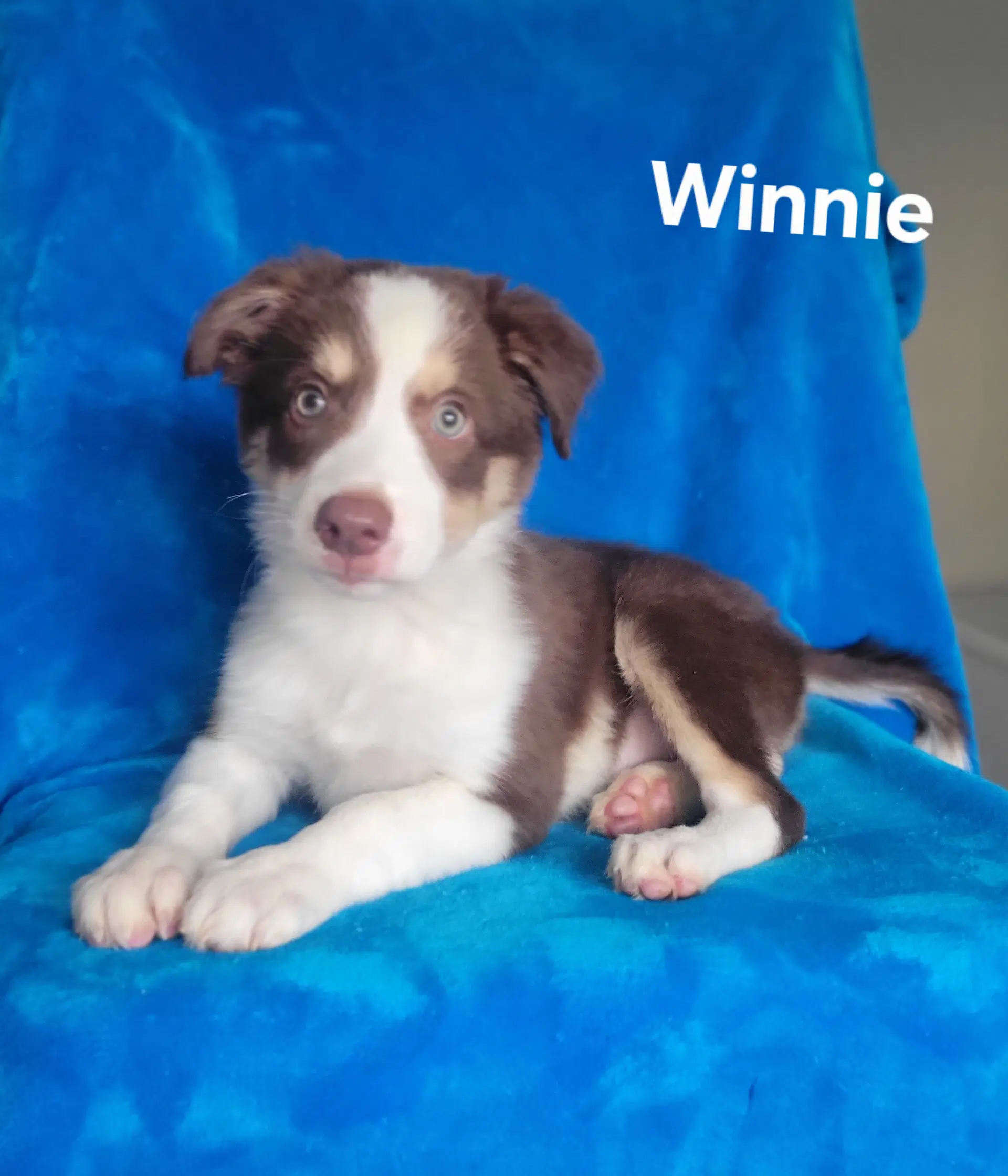 Winnie image 2