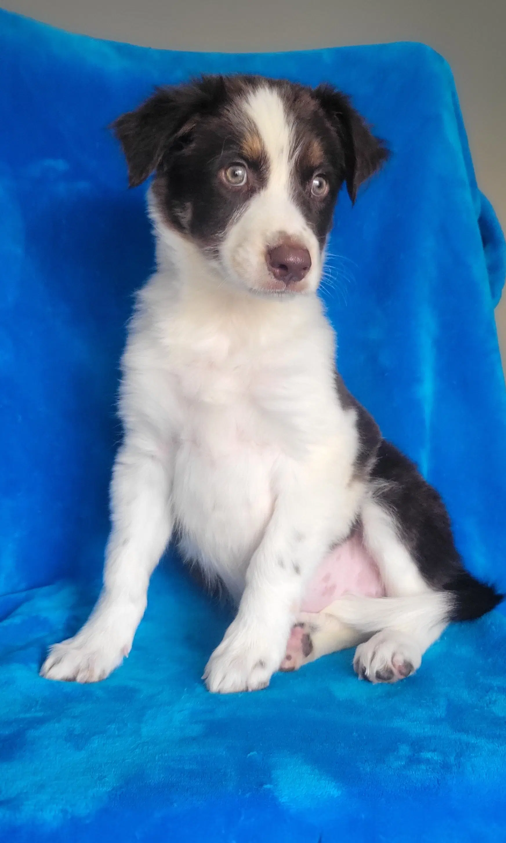Milly image 2