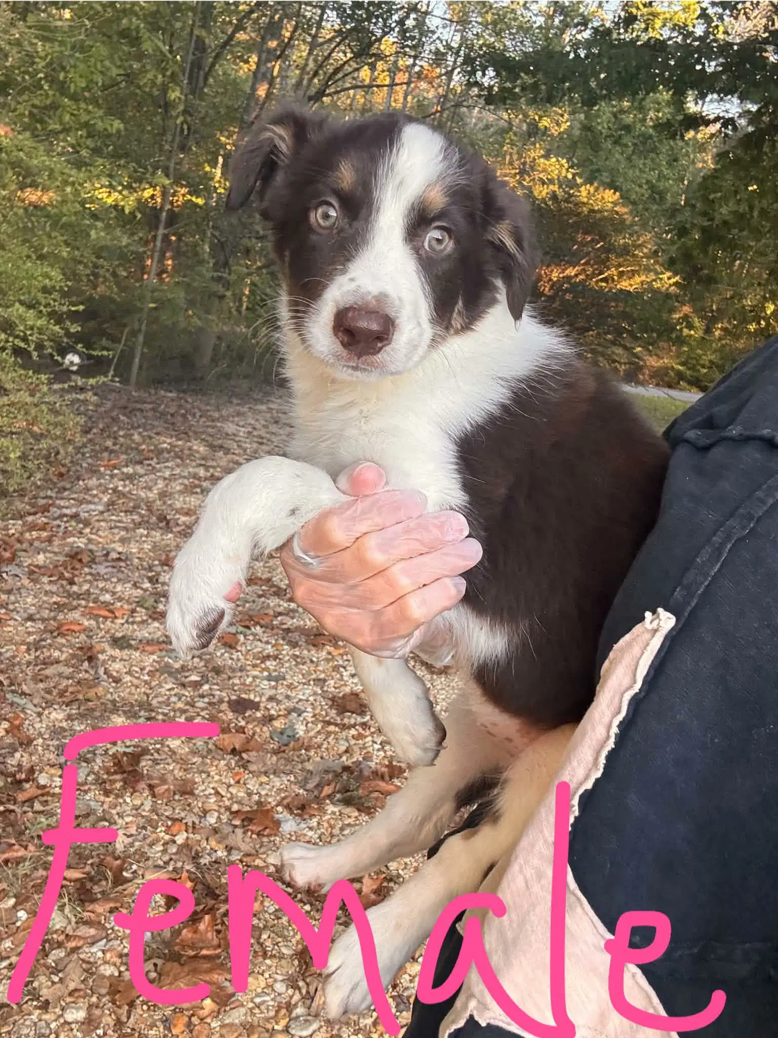 Milly image 3