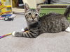 Willie Nelson - Photo 2