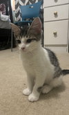 Molly - Photo 2