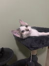 Buttons - Photo 3