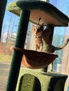 Millie - Photo 3