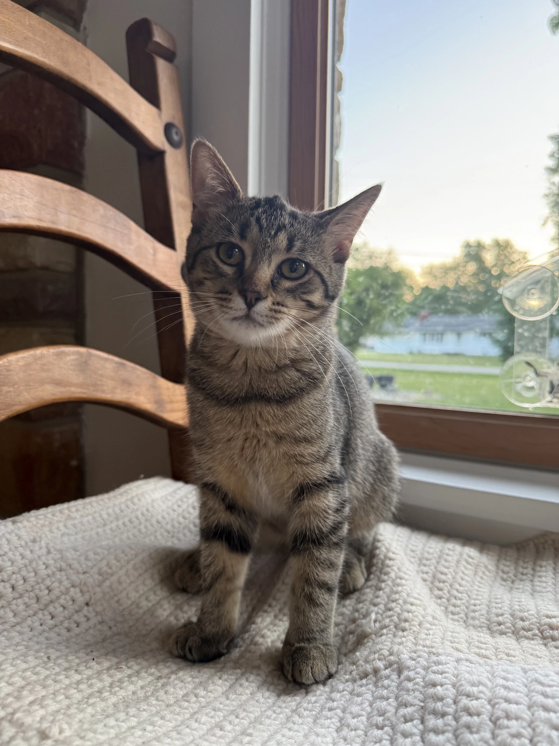 Nellie