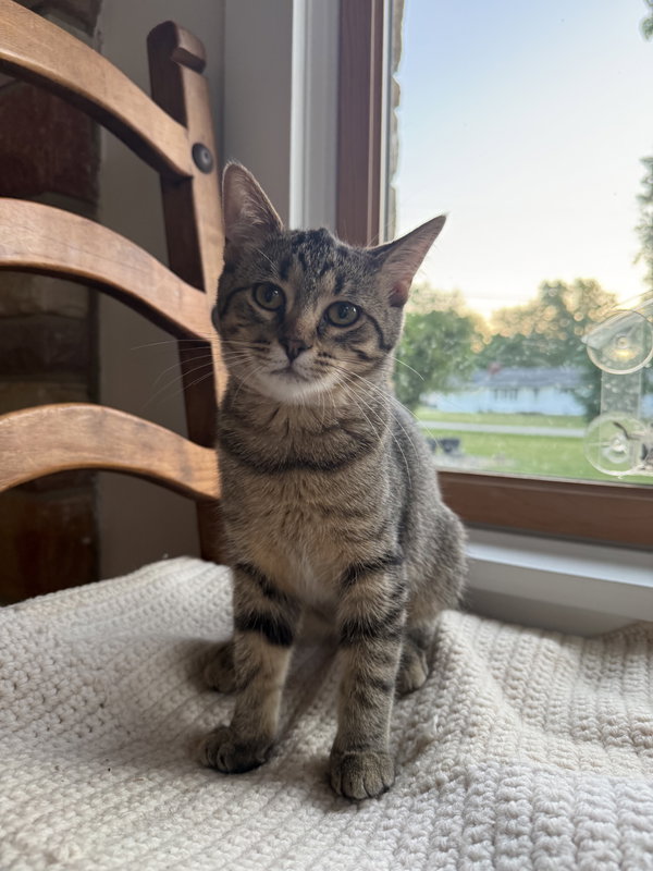 Nellie