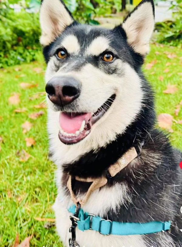 MIA