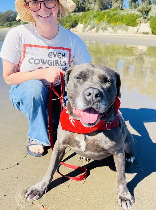 LUNA, an adoptable Pit Bull Terrier in Santa Barbara, CA