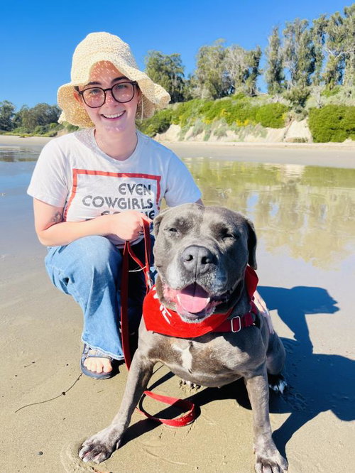 LUNA, an adoptable Pit Bull Terrier in Santa Barbara, CA