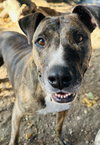 MARGO - Photo 1