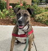 MARGO - Photo 1
