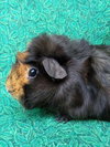 WILMA - Photo 1