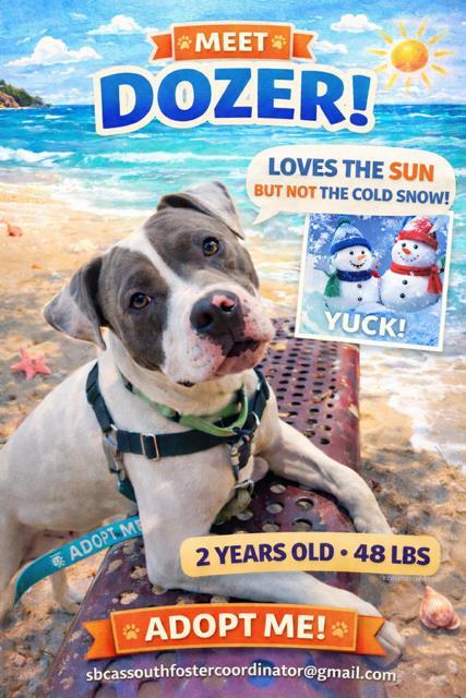 Dozer
