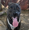 CHIQUITO - Photo 1