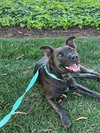 CHIQUITO - Photo 1