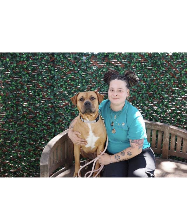 CHYLA