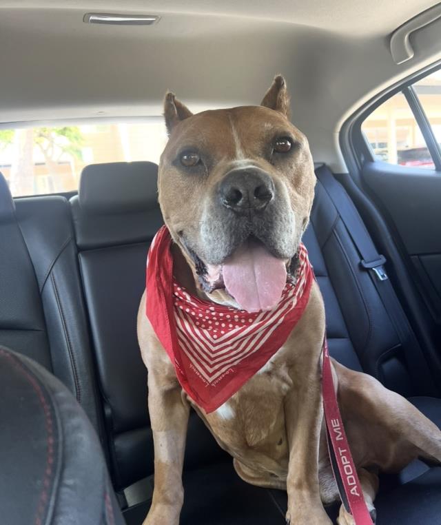 CARMELO