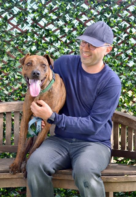 DUKE, an adoptable American Staffordshire Terrier in Santa Barbara, CA