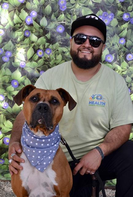 CLARENCE, an adoptable Boxer in Santa Barbara, CA
