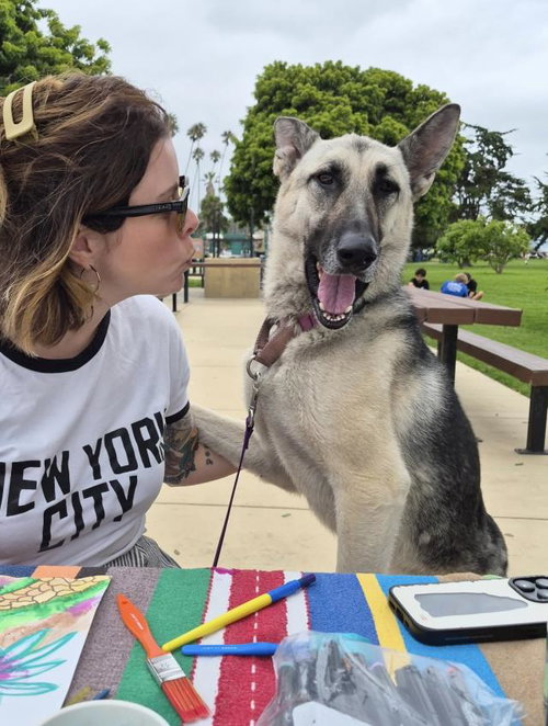 ROXIE, an adoptable German Shepherd Dog in Santa Barbara, CA