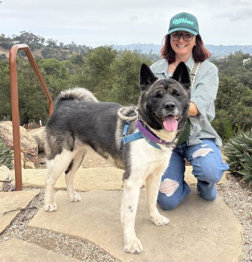 TUNDRA, an adoptable Akita in Santa Barbara, CA