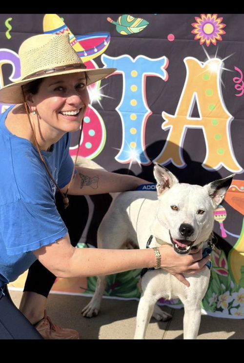 picture of the dog needing adoption