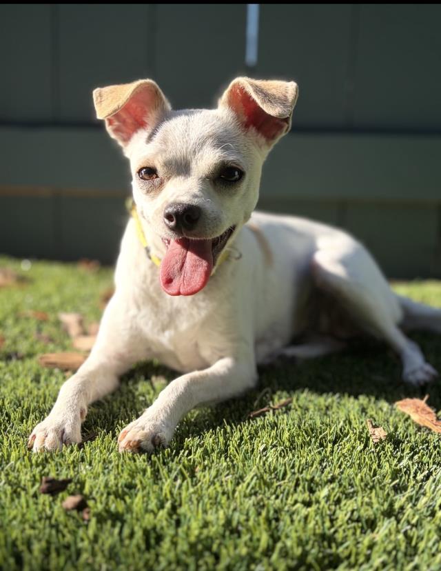 Lupita