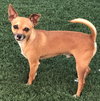 Petey - Photo 3