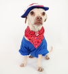adoptable Dog in Phoenix, AZ named Butch