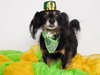 Chuco - Photo 2