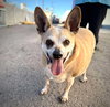 Chico - Photo 3