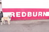 Redburn - Photo 6