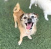 Chewy - Photo 5