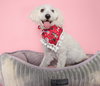 Noble & Majesty - Photo 3