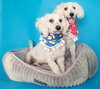 Noble & Majesty - Photo 4