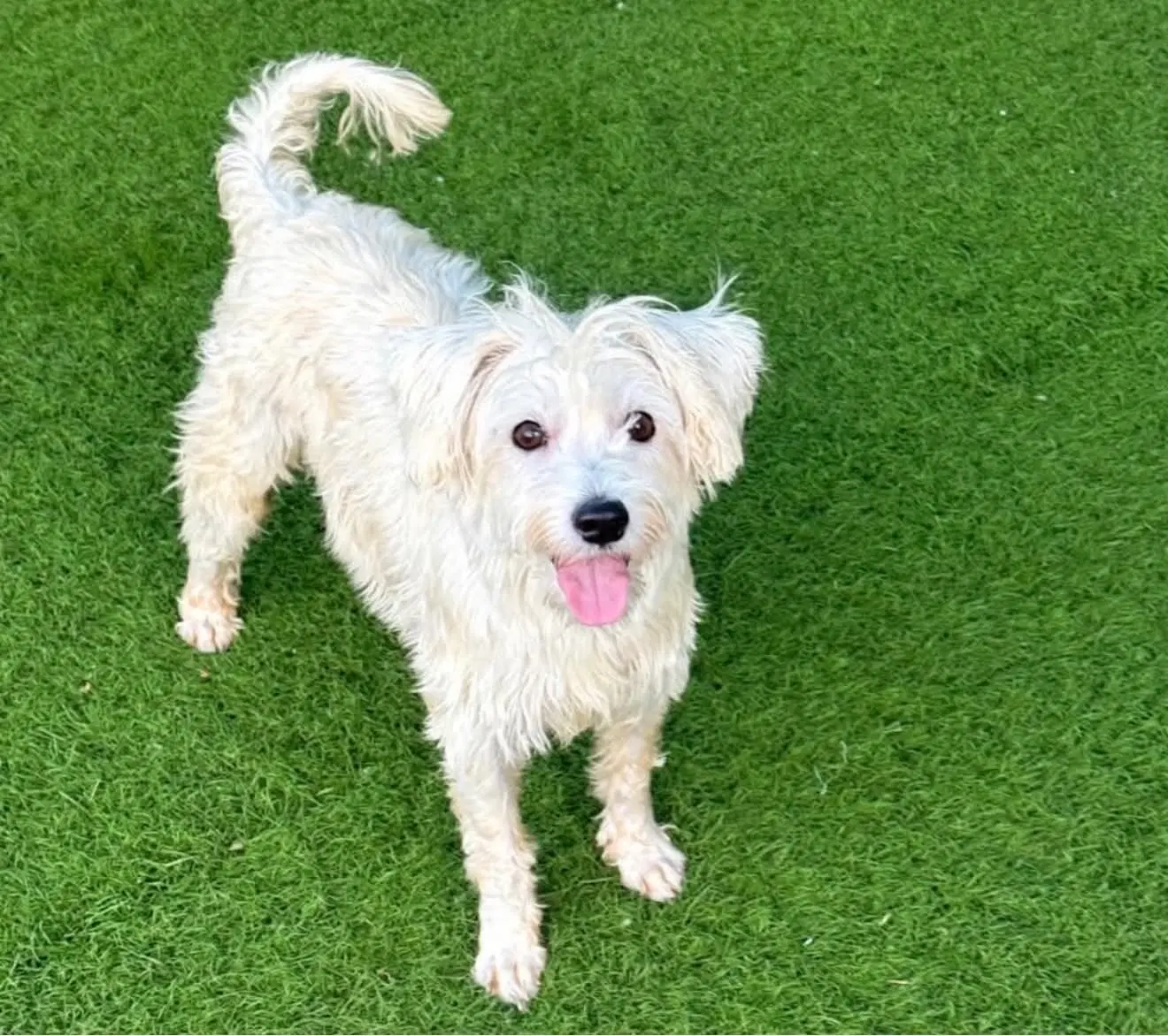 Carly image 3